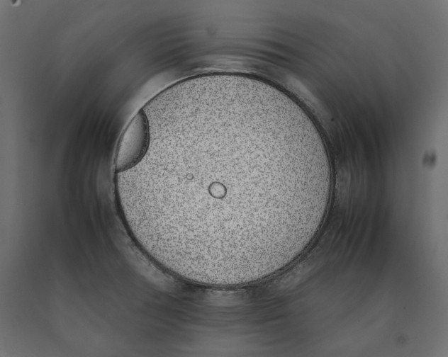 X0000090411378200708031032