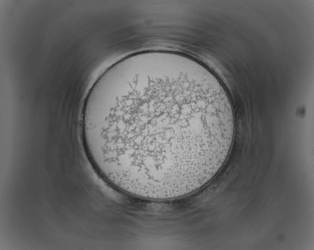 X0000090411379200708031032