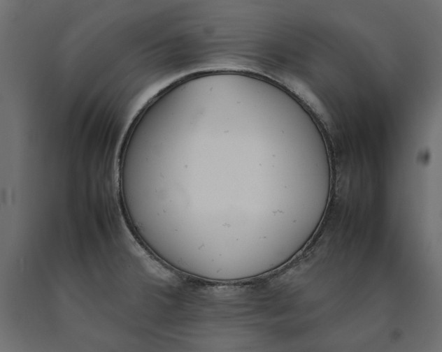 X0000090411380200708031032