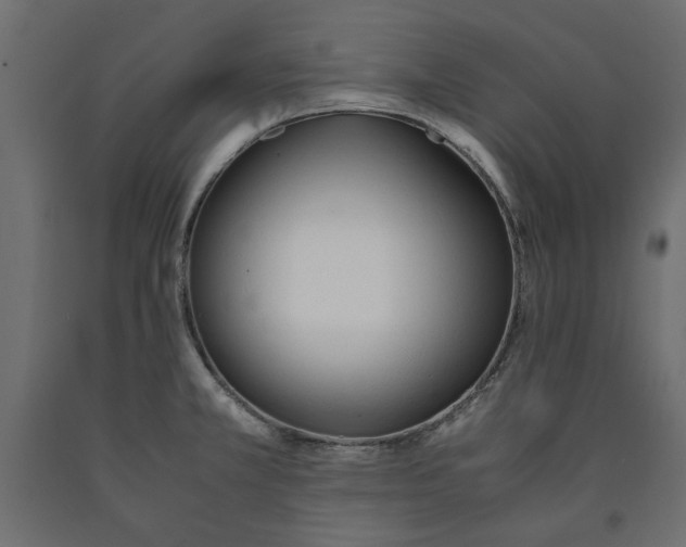 X0000090411381200708031032