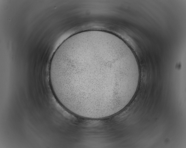 X0000090411382200708031032