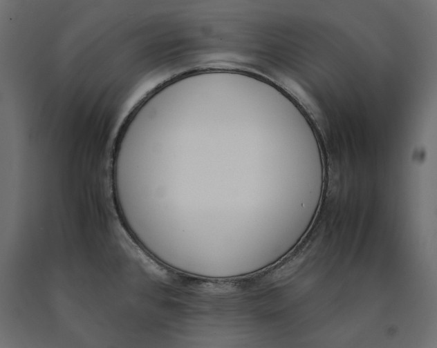 X0000090411384200708031032