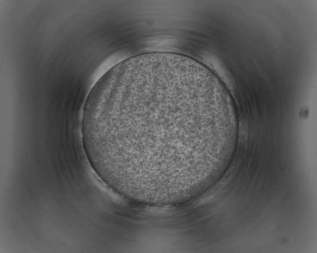 X0000090411386200708031032