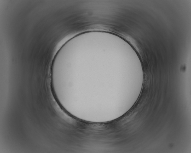 X0000090411387200708031032