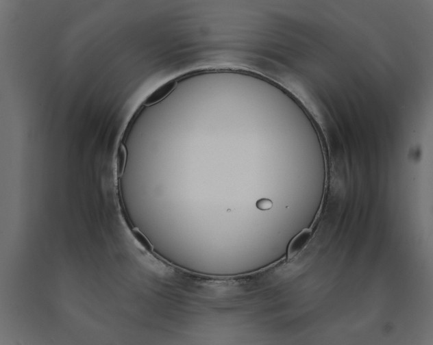 X0000090411388200708031032