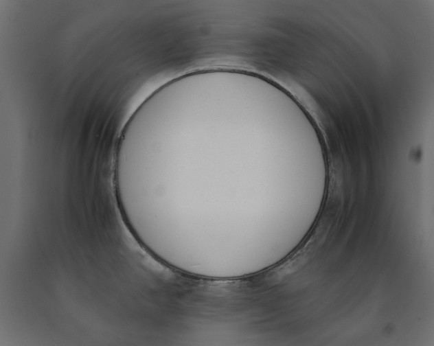 X0000090411390200708031032