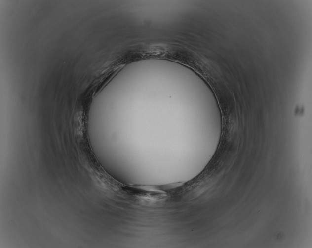 X0000090411394200708031032