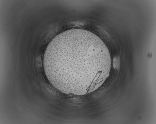X0000090411395200708031032