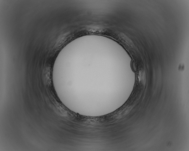 X0000090411396200708031032