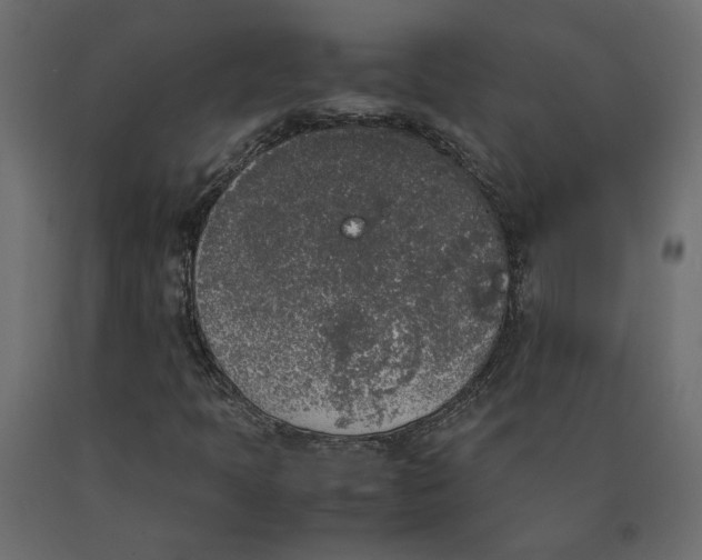 X0000090411397200708031032