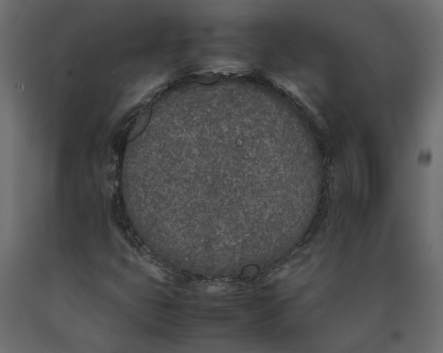 X0000090411399200708031032