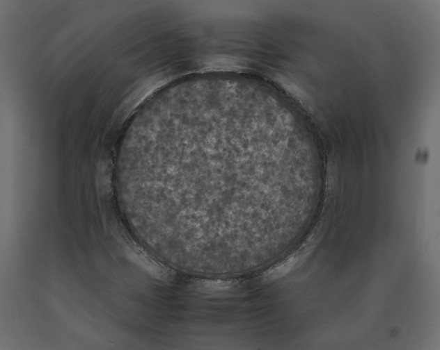 X0000090411401200708031032