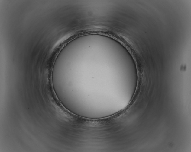 X0000090411402200708031032