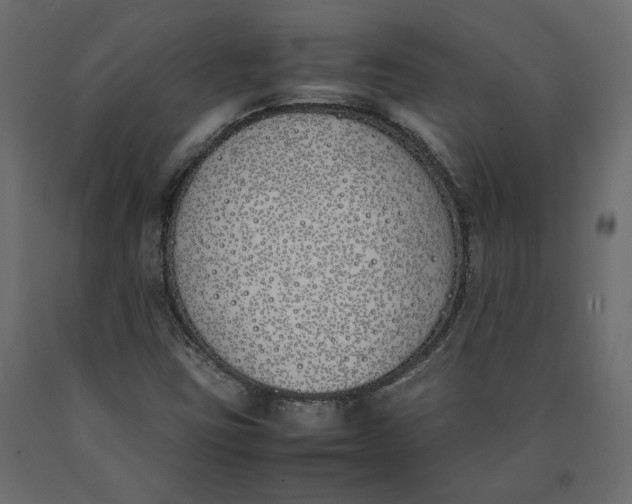 X0000090411403200708031032