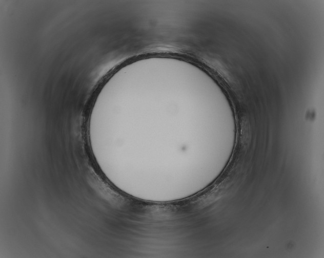 X0000090411404200708031032