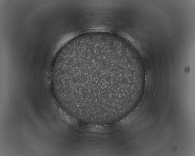 X0000090411405200708031032