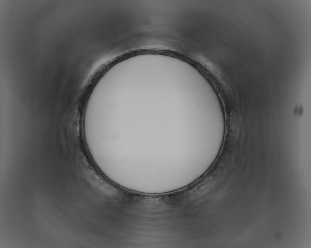 X0000090411408200708031032