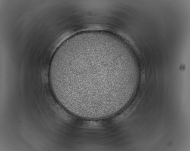 X0000090411409200708031032
