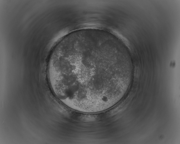 X0000090411411200708031032