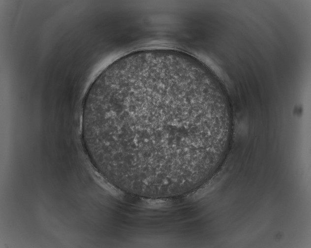 X0000090411413200708031032