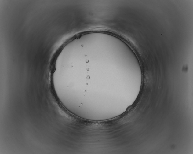 X0000090411414200708031032