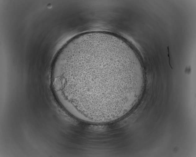 X0000090411415200708031032