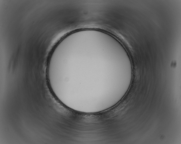 X0000090411416200708031032