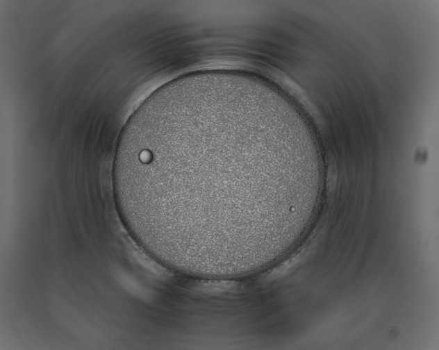 X0000090411417200708031032