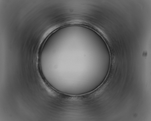 X0000090411418200708031032
