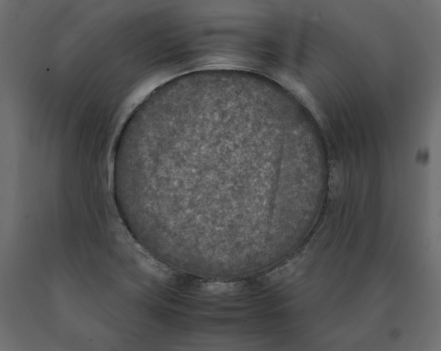 X0000090411419200708031032