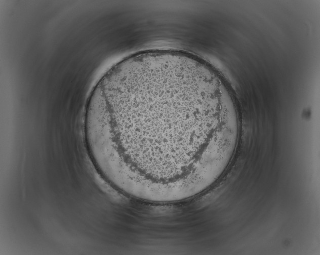 X0000090411421200708031032