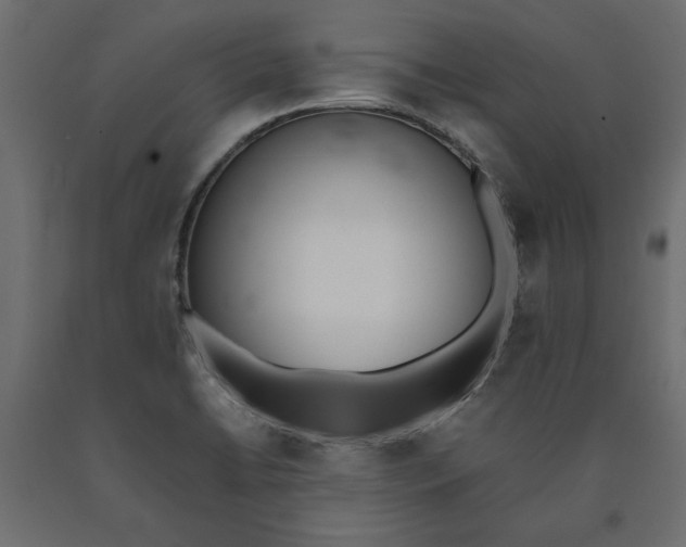 X0000090411422200708031032