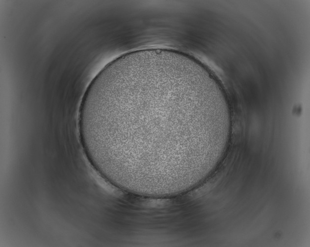 X0000090411423200708031032