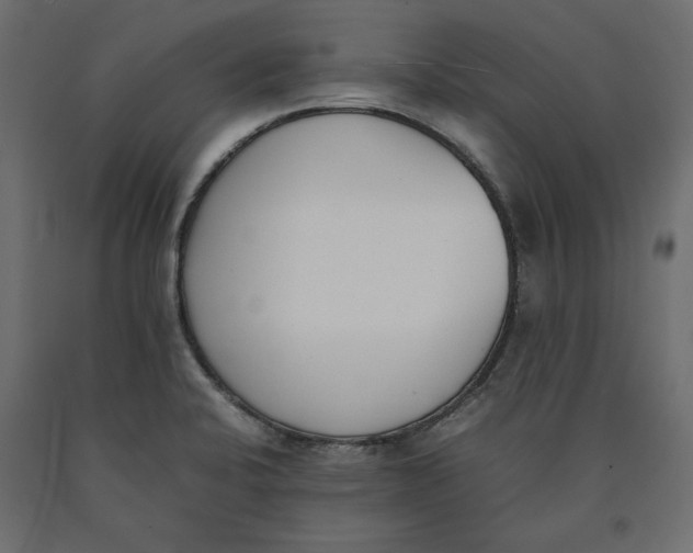 X0000090411424200708031032