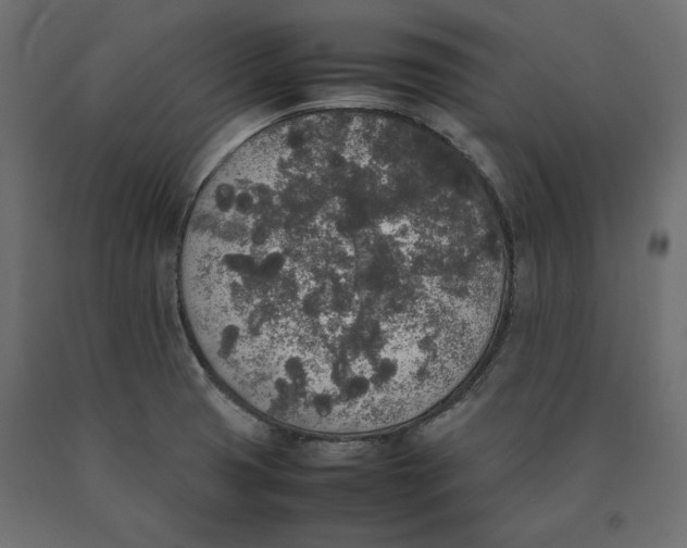 X0000090411425200708031032