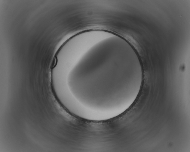 X0000090411428200708031032