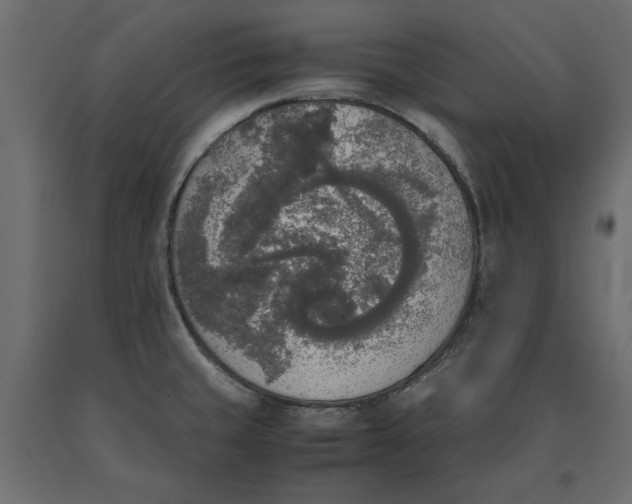 X0000090411429200708031032