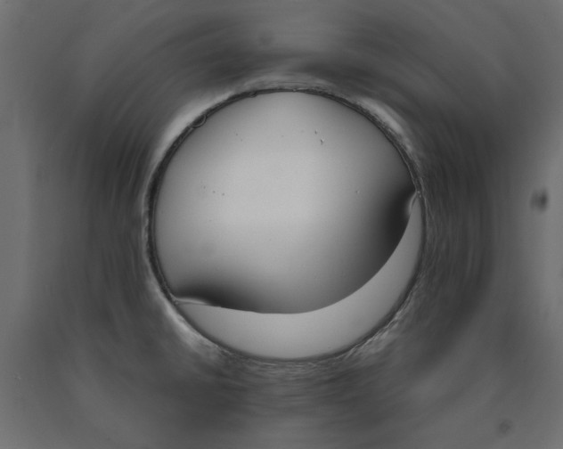 X0000090411430200708031032