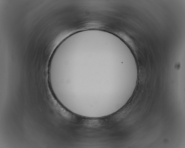 X0000090411431200708031032