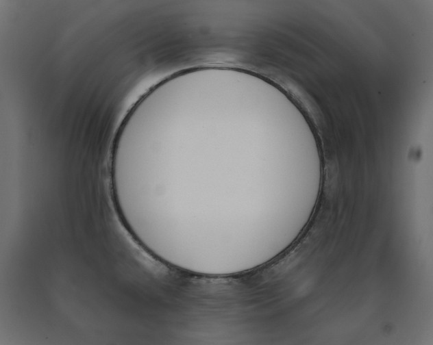 X0000090411432200708031032