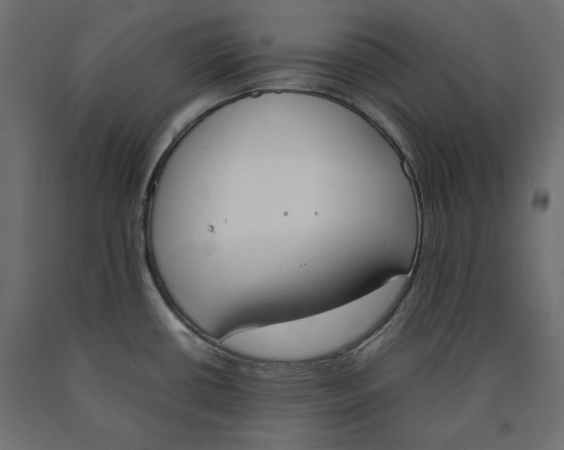 X0000090411434200708031032