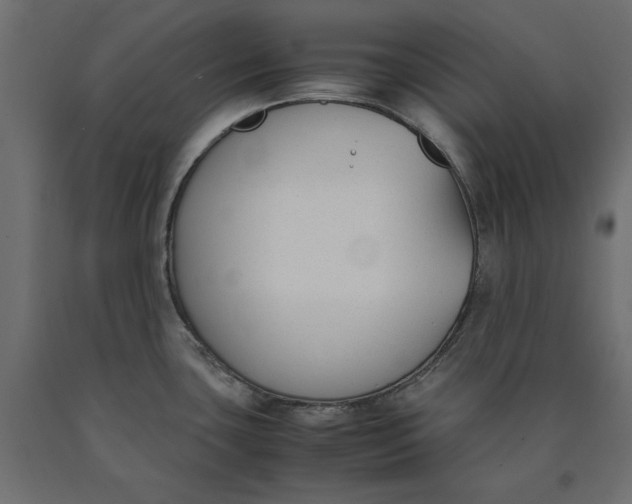 X0000090411435200708031032