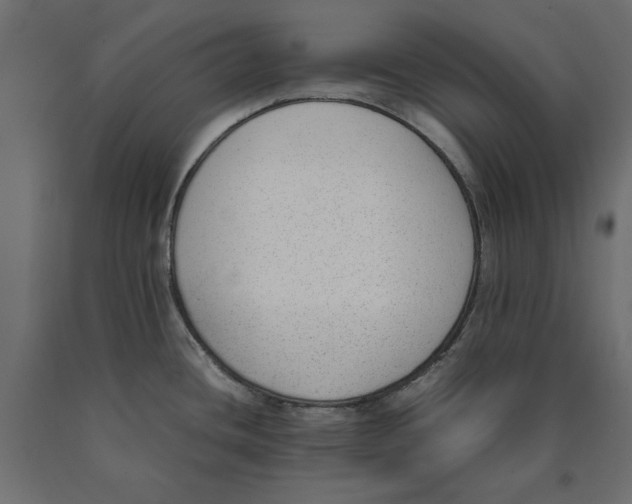 X0000090411436200708031032