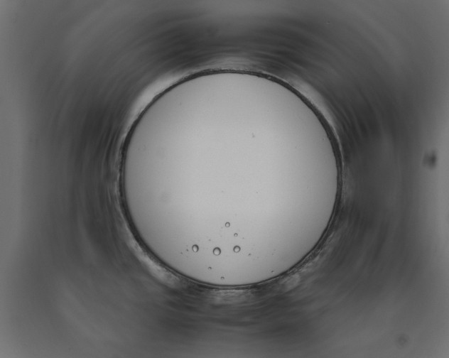 X0000090411437200708031032