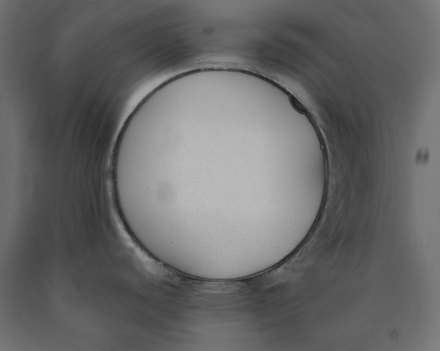 X0000090411440200708031032