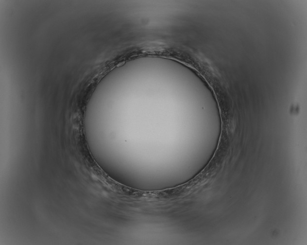 X0000090411445200708031031