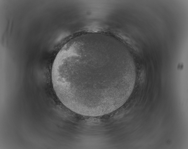 X0000090411446200708031031