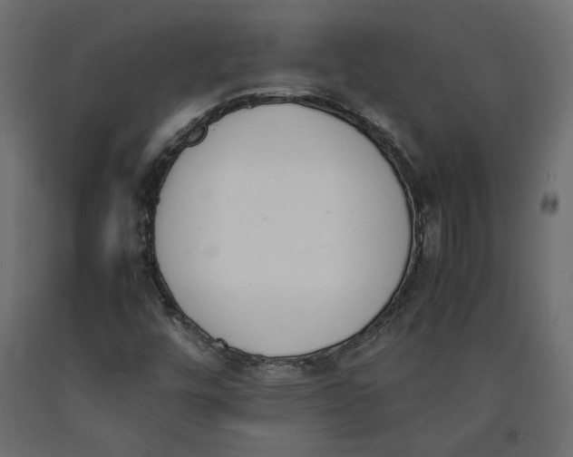 X0000090411448200708031031