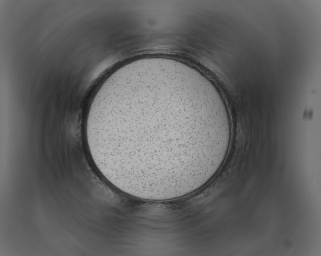 X0000090411450200708031031