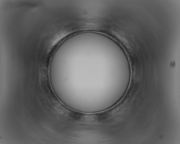 X0000090411453200708031031